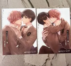 ブックフェア アニメイト特典 ピットスポルム クリアファイル - メルカリ