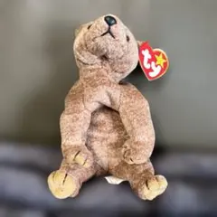 ty クマぬいぐるみ