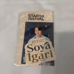 スタフェス ステッカー 猪狩蒼弥