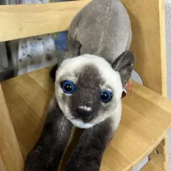 昭和レトロ シャム猫 ヒマラヤン ぬいぐるみ - メルカリ