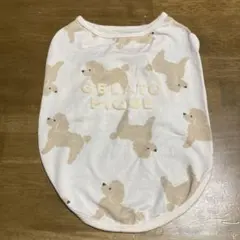 Item thumbnail for item 7c011ecb-ef5f-436a-8095-0525fb6f11bf