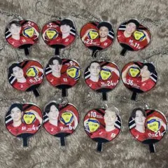 バレーボール男子日本代表 うちわアクリルチャーム　ガチャ