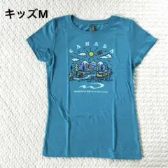 WHISTLER BLACKCOMB カナダ風景 Tシャツ　キッズ