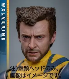 ホットトイズ　ウルヴァリン　デラックス版の素顔ヘッドのみ 2025年最新】ウルヴァリン ホットトイズの人気アイテム - メルカリ