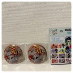 ポケモンZA メガレラッシュ 缶バッジ ミアレ編A グリーズ 2個セット