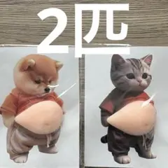 お腹ぷにぷにシール 柴犬 猫 おなかぷくぷくシール 3Dシール 2匹