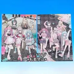 FLOWGLOWタワーレコードコラボカフェA4クリアファイル前期&後期2種セット