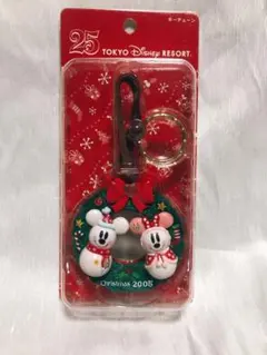 ディズニーリゾート 25周年 2008 キーチェーン