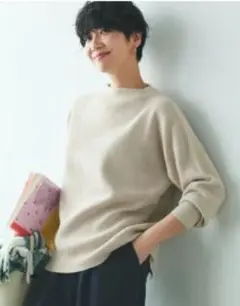 anyfam アゼボトルニットプルオーバー ハイネックニット