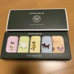ナチュラルアイランド　タオルハンカチ　タオルチーフ5枚入れ