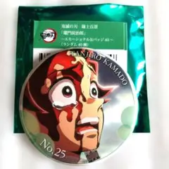 鬼滅の刃 隊士百景 エモーショナル缶バッジ 竈門炭治郎 - メルカリ