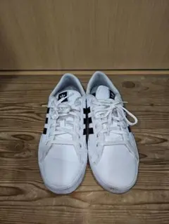 26センチ
