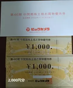 ビックカメラ 株主優待券 2枚セット