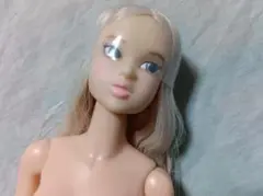 CCS 23SS momoko 　momoko doll　春の妖精　本体のみ