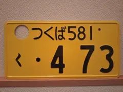 期間限定 観賞用 軽自動車 元気の花を日本中に咲かせよう！モノクロ 