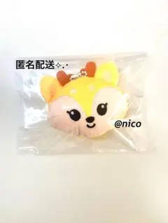 MINITEEN SHUASUMI ジョシュア セット MINITEEN SHUASUMI ミニティーン miniteen ジョシュア MINITEEN