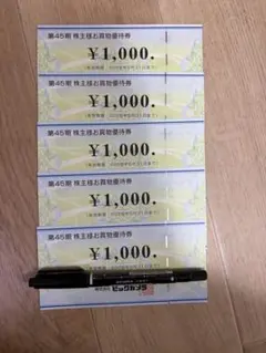 株主優待券 ビックカメラ 5000円分