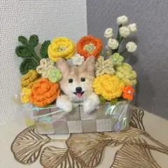 アニマルバスケット　柴犬　しば犬　枯れない花　アレンジメント
