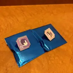 鬼滅の刃　キャラクターモチーフピンズ　第二弾　しのぶ　カナエ