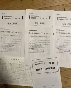 共通テスト 2023駿台 実践問題パックV マークシート付き 国語