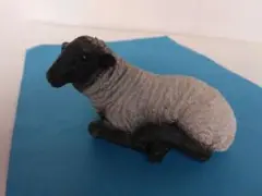 新品　羊ちゃん　インテリアに仲間入りはどうですか　植物と一緒も似合います
