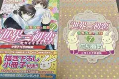 世界一初恋 20 小冊子付き特装版 - メルカリ