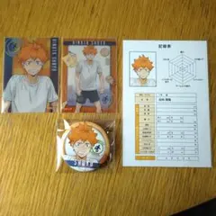 ハイキュー　体力測定　日向翔陽　缶バッジ　クリアカード　ポストカード