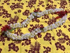 フラダンス用レイ 白と赤の花