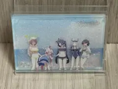 中国限定 ブルーアーカイブ アビドス廃校対策委員会 水着 流砂アクリルパネル