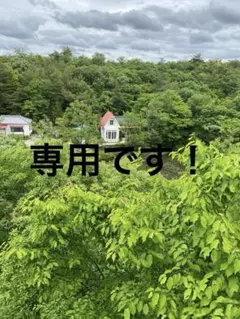 専用です！