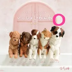 Item thumbnail for item f09e4f04-de62-4dbe-9ceb-44e06715f3d5