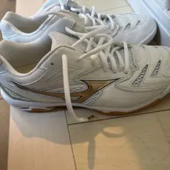 MIZUNO WAVE FANG PRO バドミントンシューズ　25.5cm