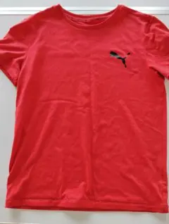 Puma 赤 Tシャツ　150cm