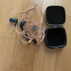 名機Ultimate Ears TRIPLE.FI 10カスタムIEM(極美品 - メルカリ