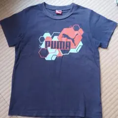 PUMA キッズ Tシャツ 130 ネイビー綿100%