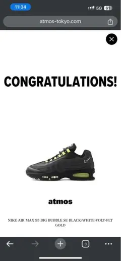 NIKE AIR MAX 95 SE HRJK 原宿 アトモス