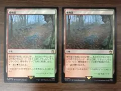 アリーナ ARENA プロモ FOIL 森 基本土地 2枚セット EDH - メルカリ
