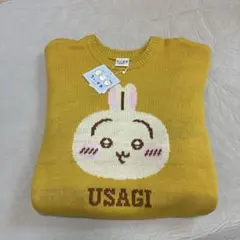 Item thumbnail for item e44a5bdd-c9ac-4174-88ca-85b5425b840e