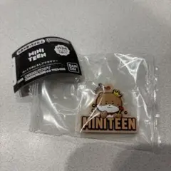 SEVENTEEN MINITEEN ディノ　めじるしアクセサリー