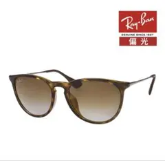 レイバン RAYBAN 偏光サングラス 新品 未使用@