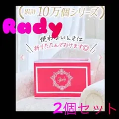 Rady ホテルシリーズ 収納ボックス2個セット