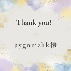 aygnmzhk▼▼お知らせアリ▼▼様 リクエスト 2点 まとめ商品