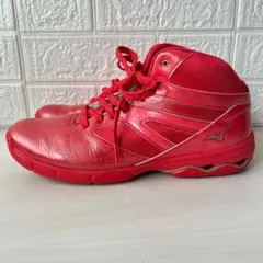 MIZUNO WAVE DIVERSE DE ミズノ ウエーブダイバース赤 27のサムネイル