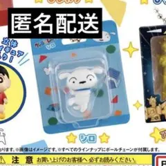 クレヨンしんちゃん ミニチュアパッケージコレクション２ シロ / きゃらっぷっぷ