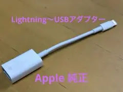 Apple Lightning to USB Adapter A1440