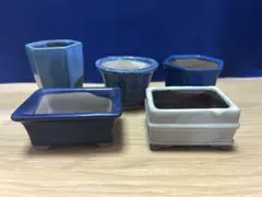 小品盆栽　植木鉢 ミニ鉢　色々5個セット