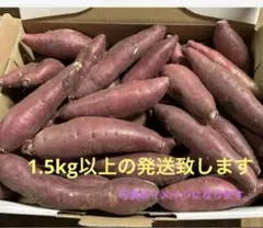 さつまいも紅はるか　小さいサイズ1.5kg➕満杯約200g発送になります