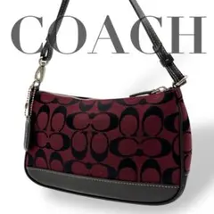 【未使用級】COACH コーチ アクセサリーポーチ ハンドバッグ 希少色