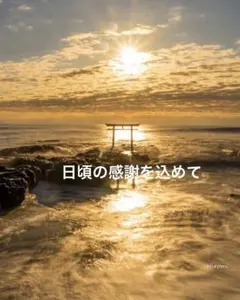 ⑦貴重❗️✨グラビトンセラミック✨ 2025年最新】グラビトンセラミックの人気アイテム - メルカリ