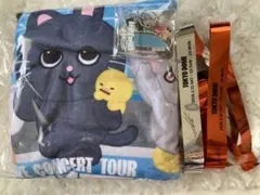 RIIZE 東京ドーム アプグレ VIP 特典 銀テープ